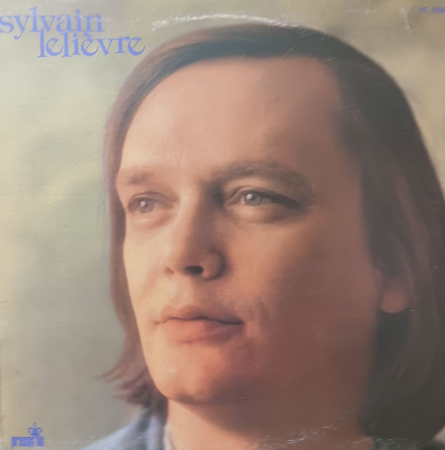 SYLVAIN LELIEVRE - Sylvain Lelievre