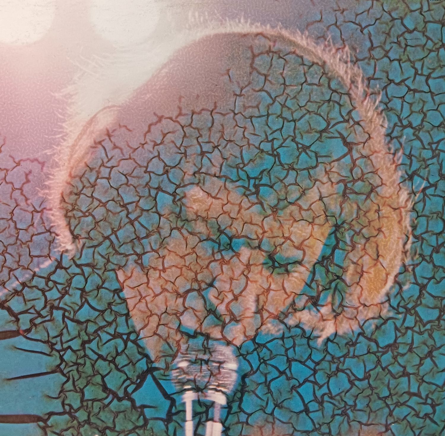 JEAN-PIERRE FERLAND - Quand on aime on a toujours 20 ans