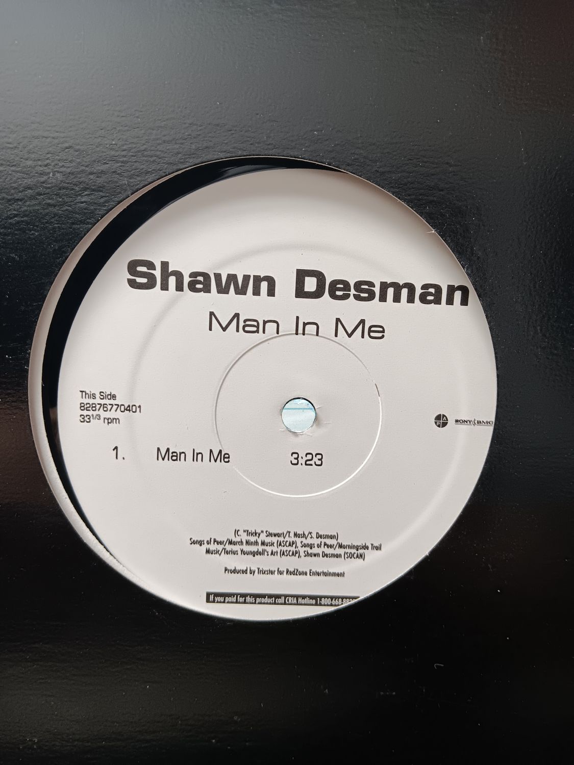SHAWN DESMAN - Man in me (MAXI)