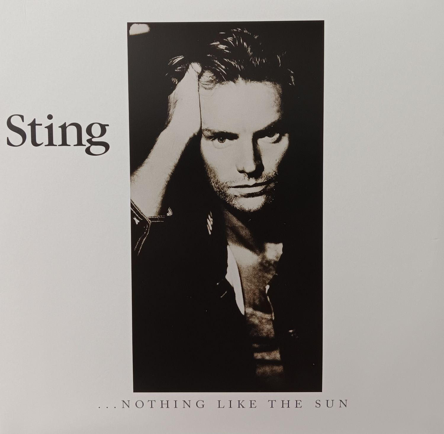 STING - Nothing but the sun (GERMANY REPRESS)