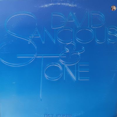 DAVID SANCIOUS &amp; TONE - True stories