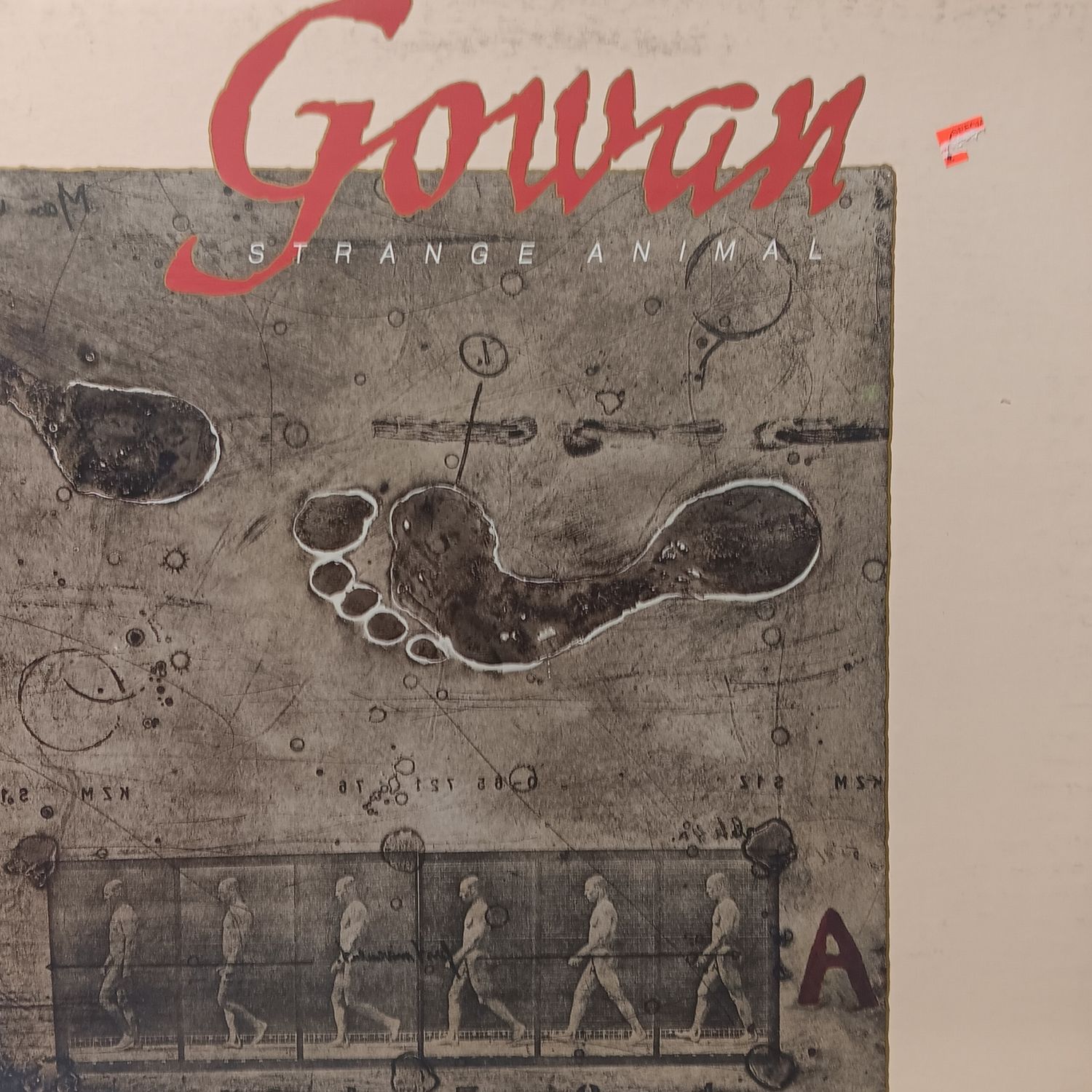 GOWAN - Strange Animal