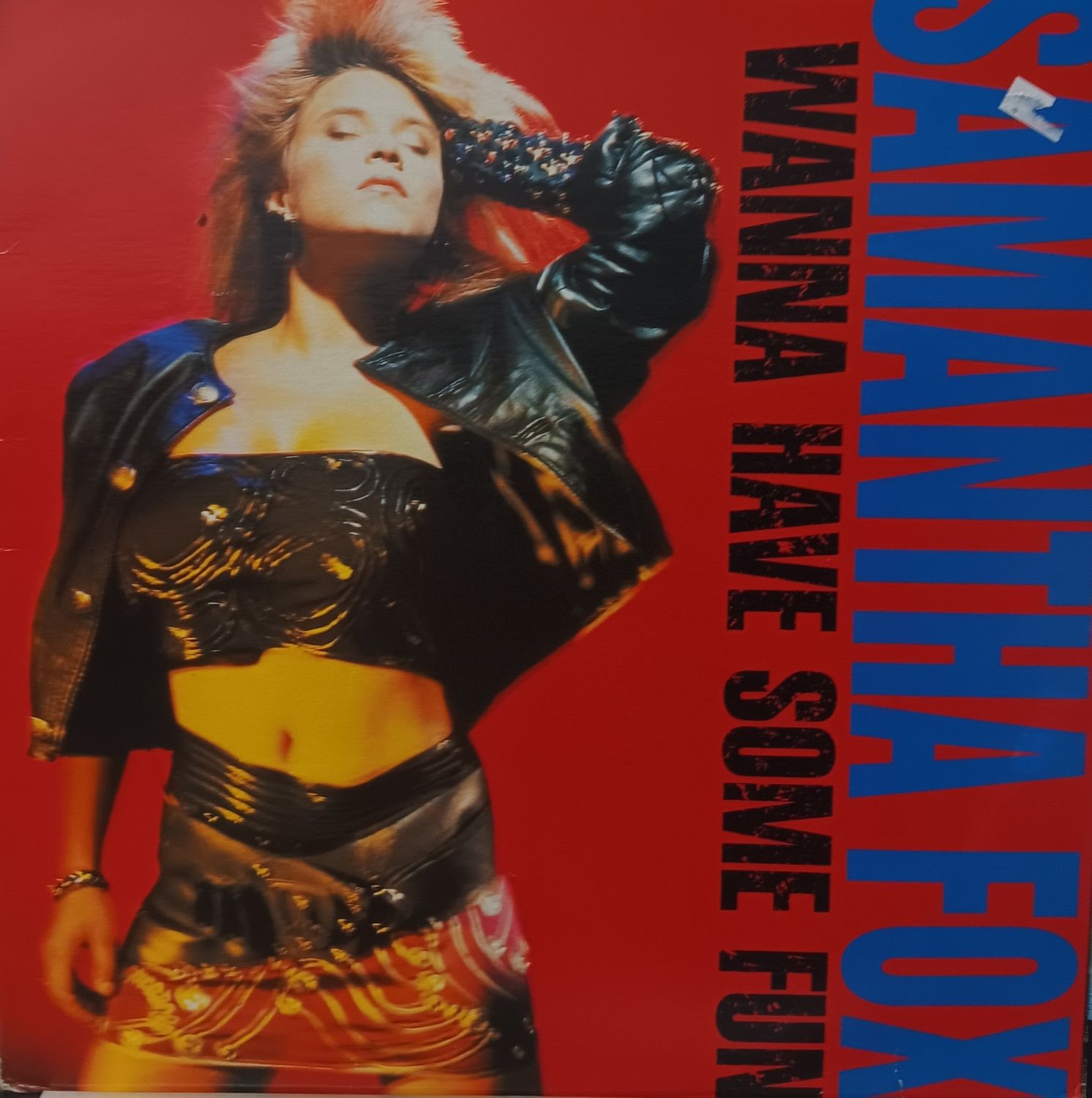 SAMANTHA FOX - I wanna have some fun