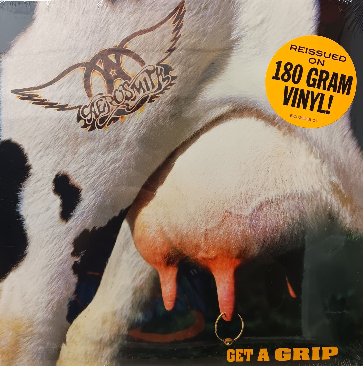 AEROSMITH - Get a grip (NEUF)