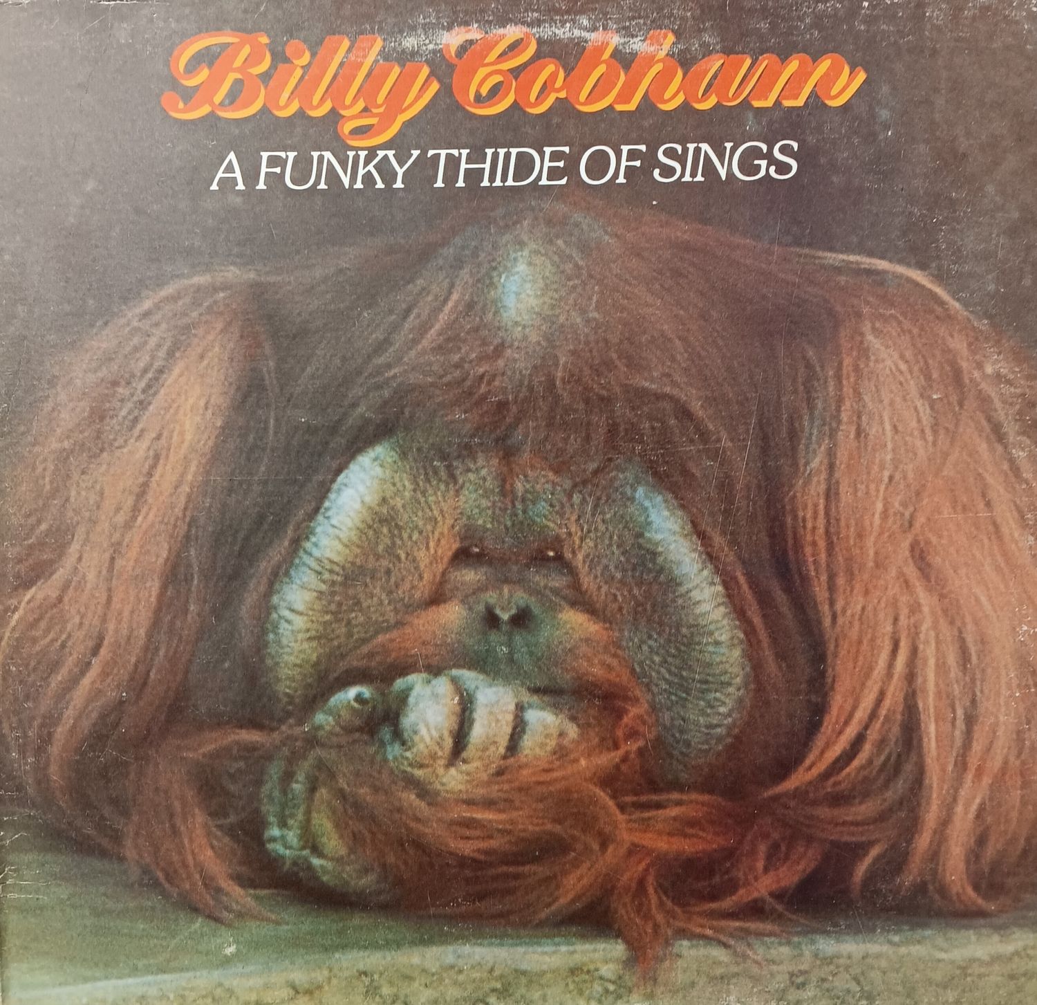 BILLY COBHAM - A Funky Thide of Sings
