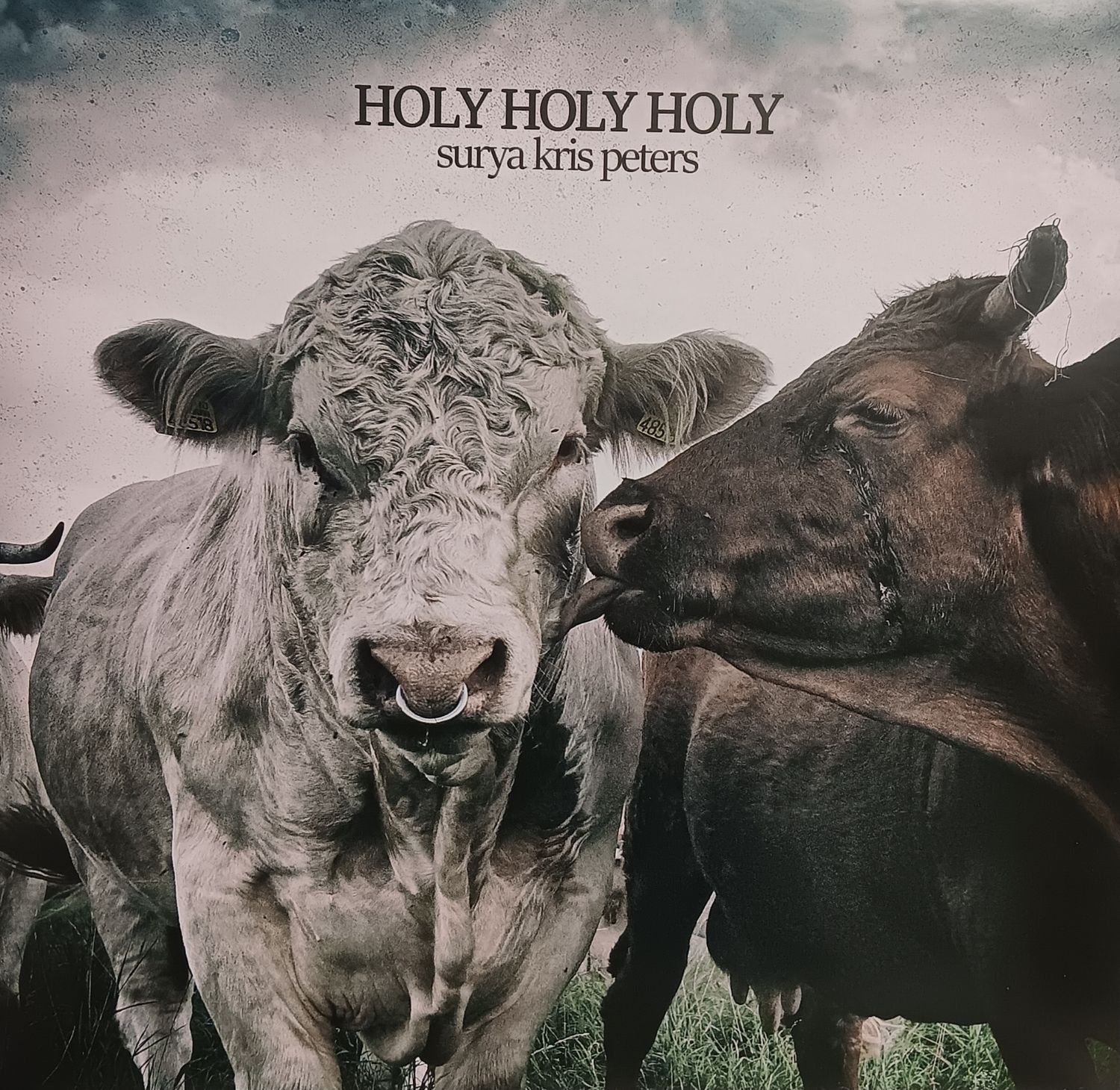 SURYA KRIS PETERS - Holy Holy Holy