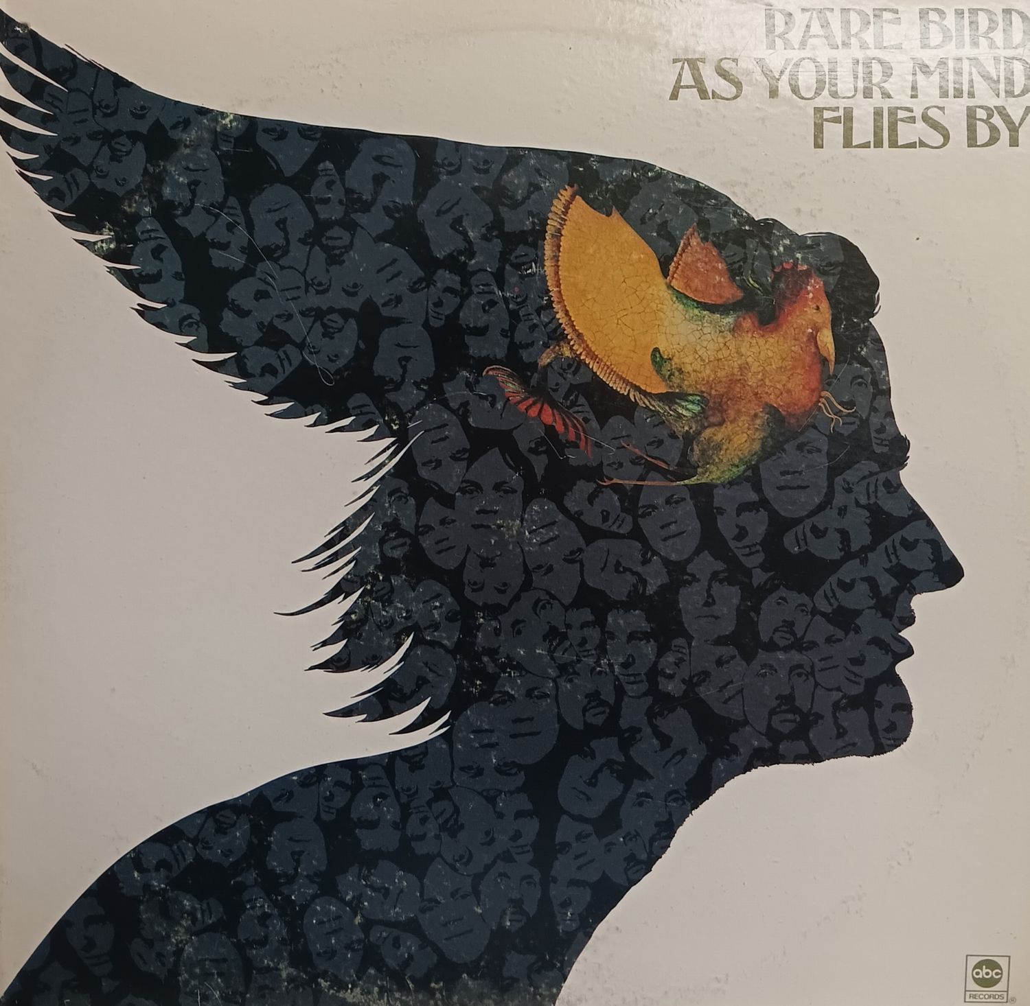 RARE BIRD - As your mind flies by