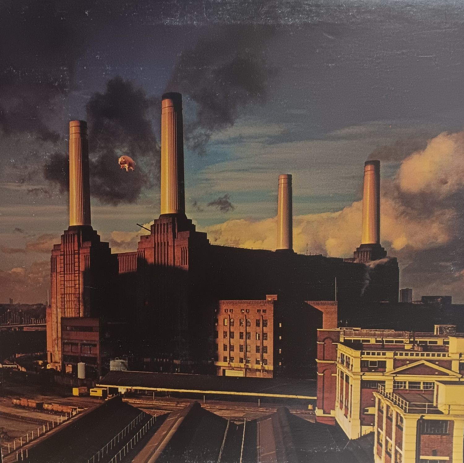 PINK FLOYD - Animals