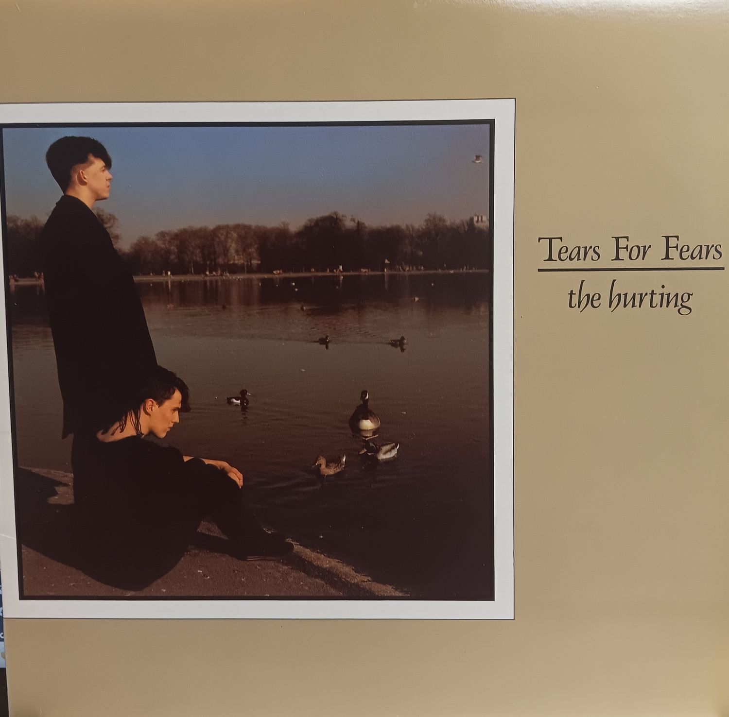 TEARS FOR FEARS - The hurting