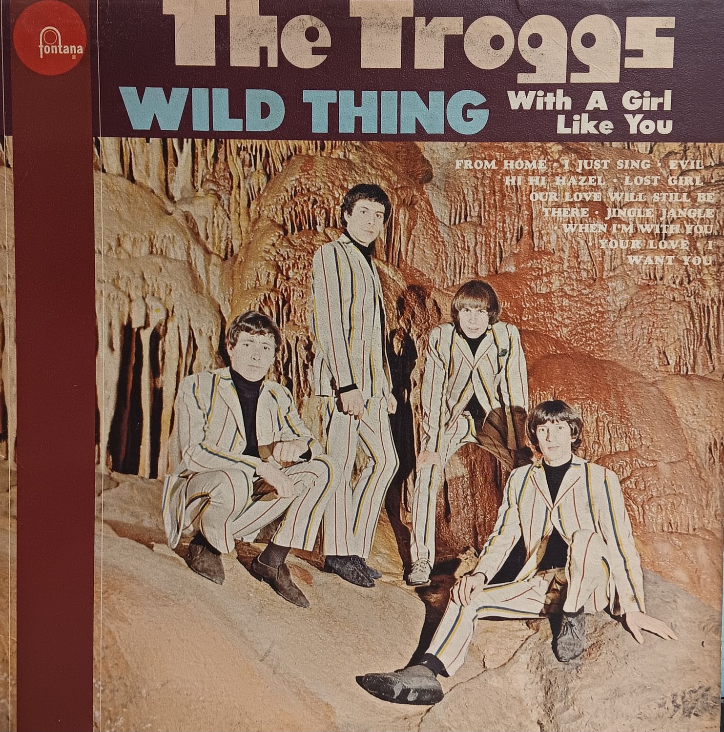 THE TROGGS - Wild Thing