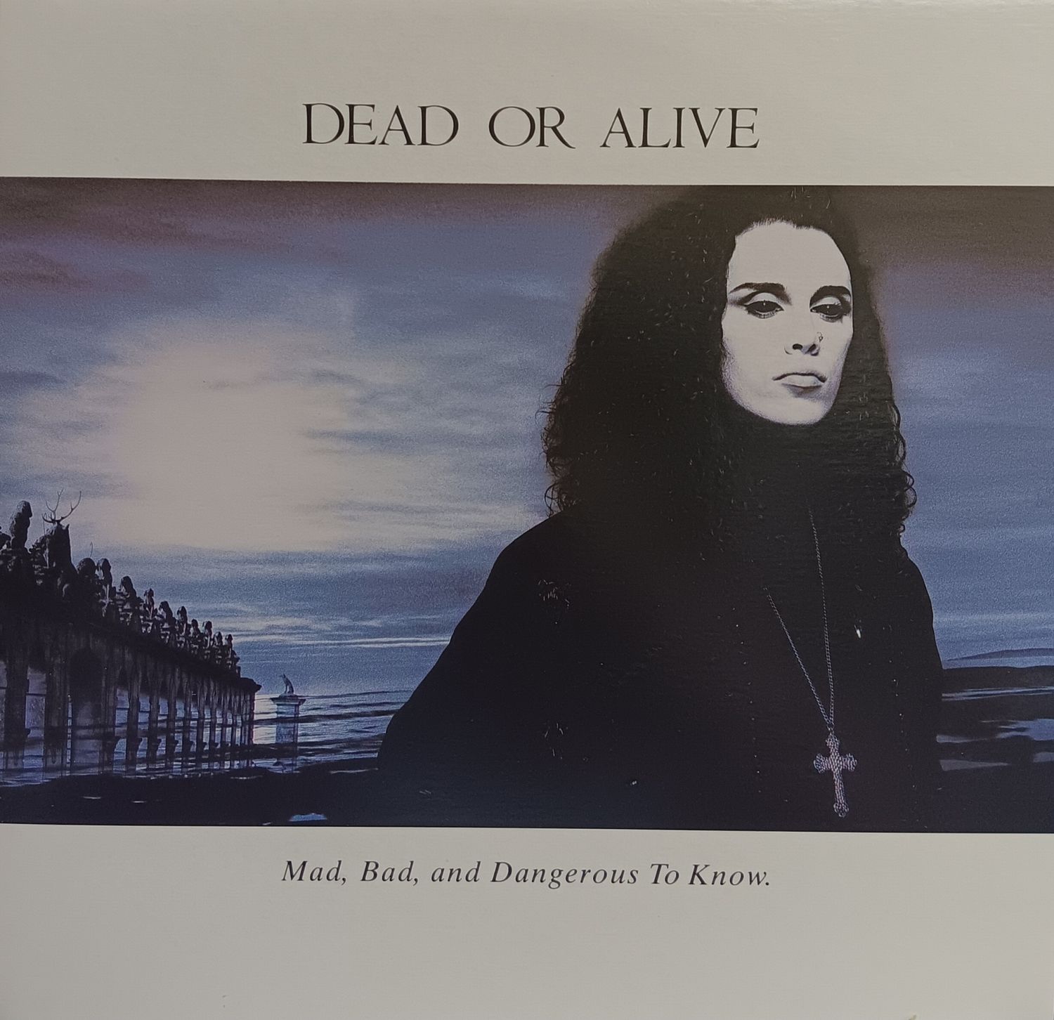 DEAD OR ALIVE - Mad Bad and Dangerous to Know