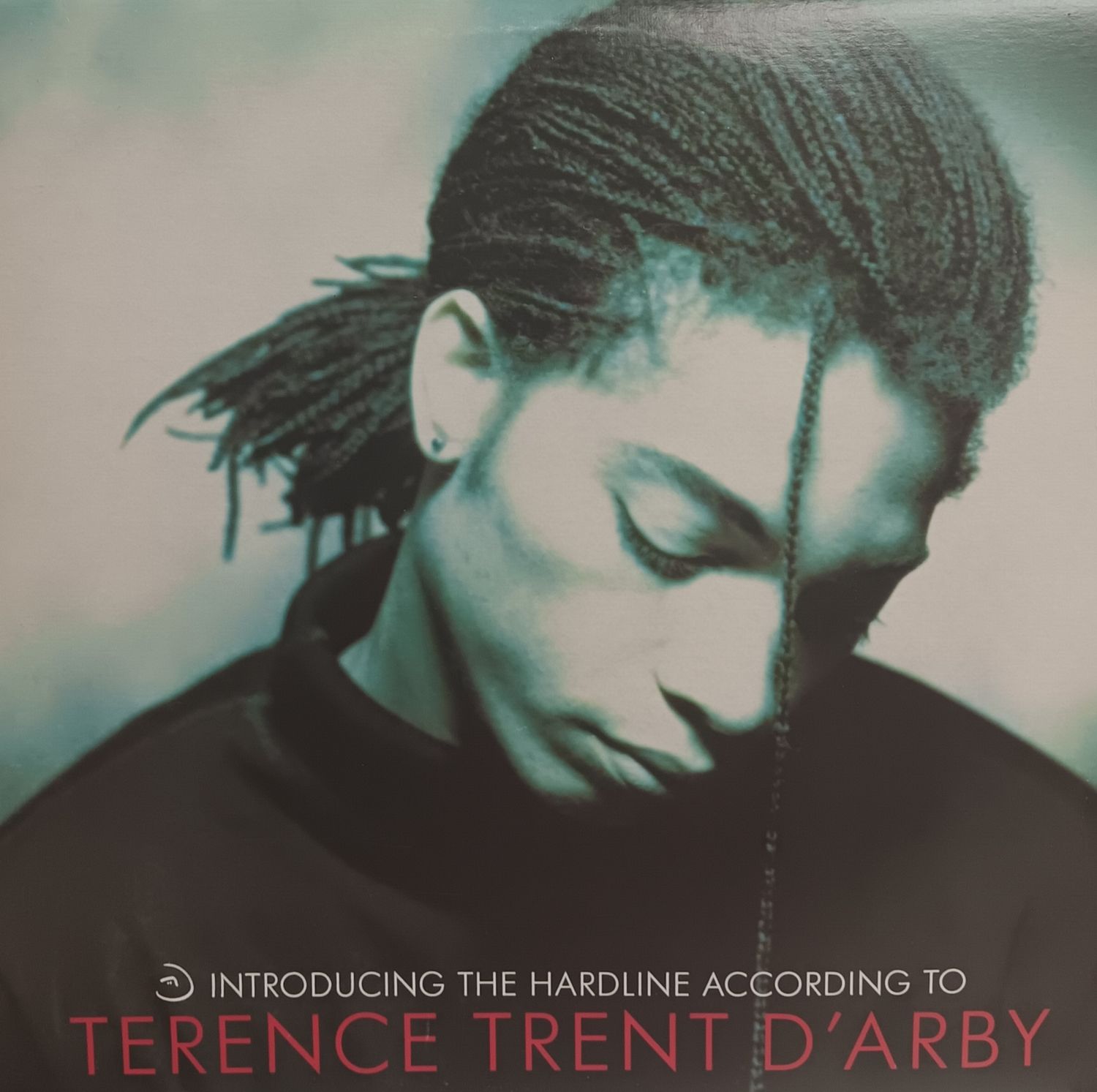 TERENCE TRENT D&#39;ARBY - Introducing Terence Trent D&#39;arby