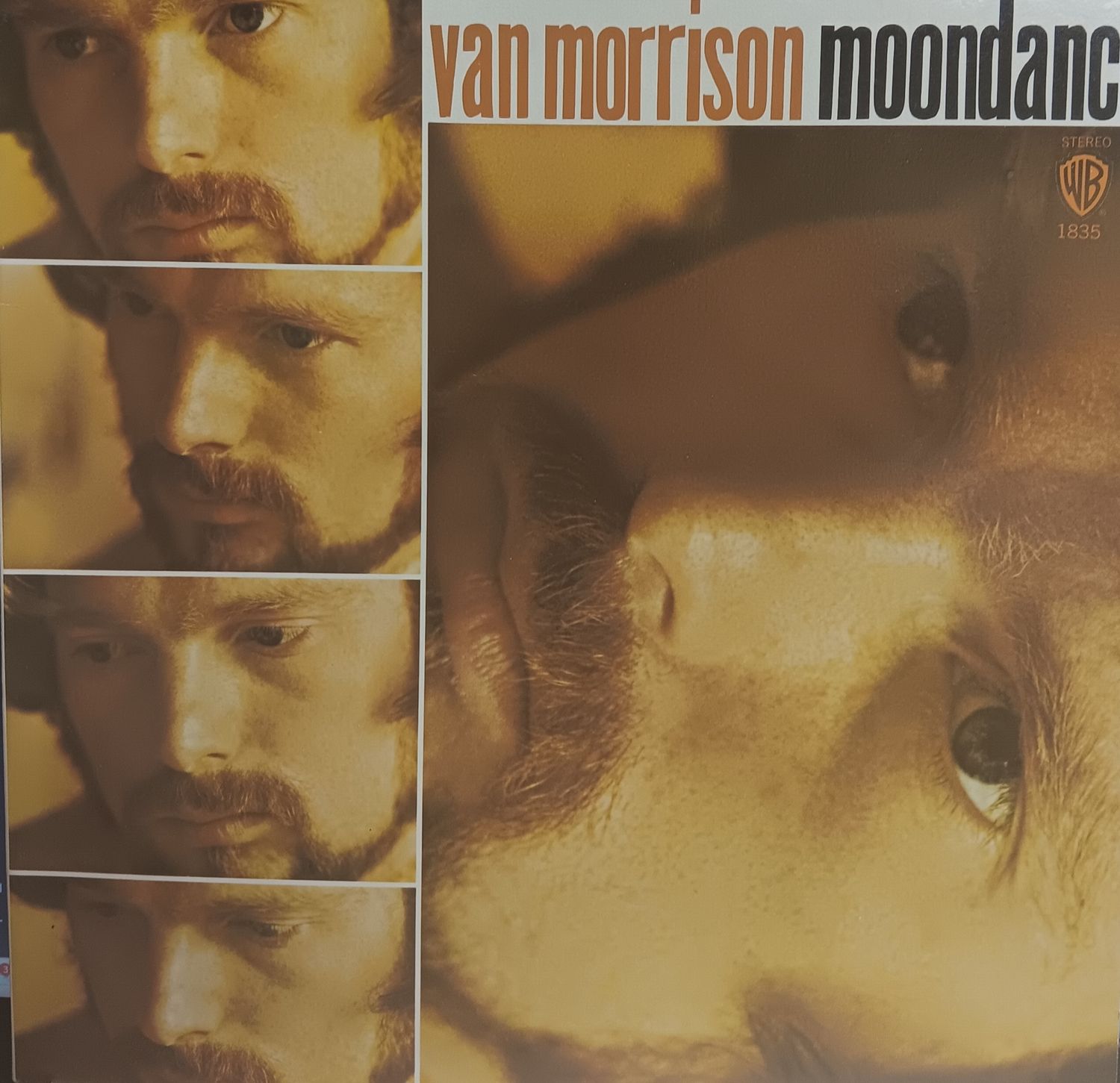 VAN MORRISON - Moondance