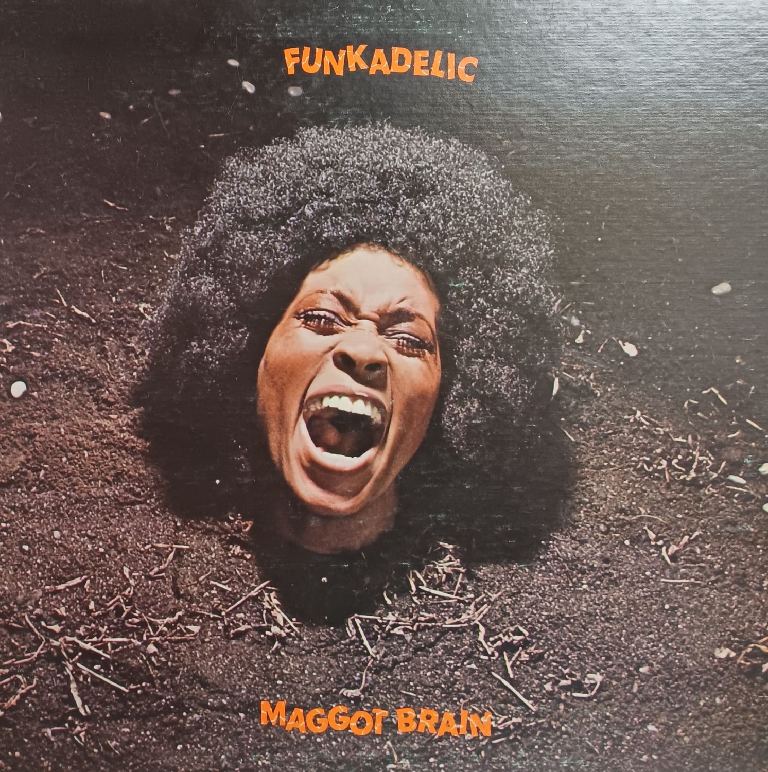 FUNKADELIC - Maggot Brain