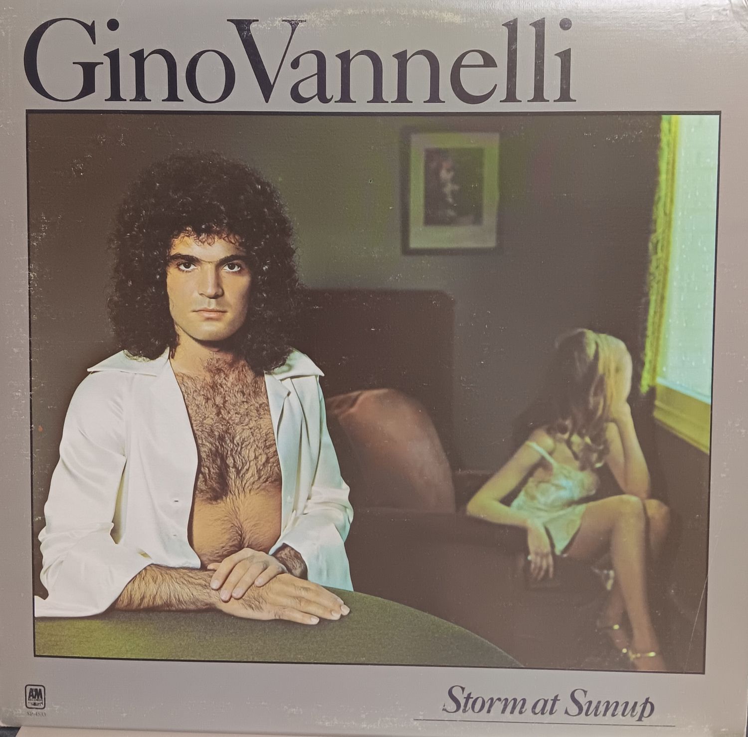 GINO VANNELLI - Storm at sunup