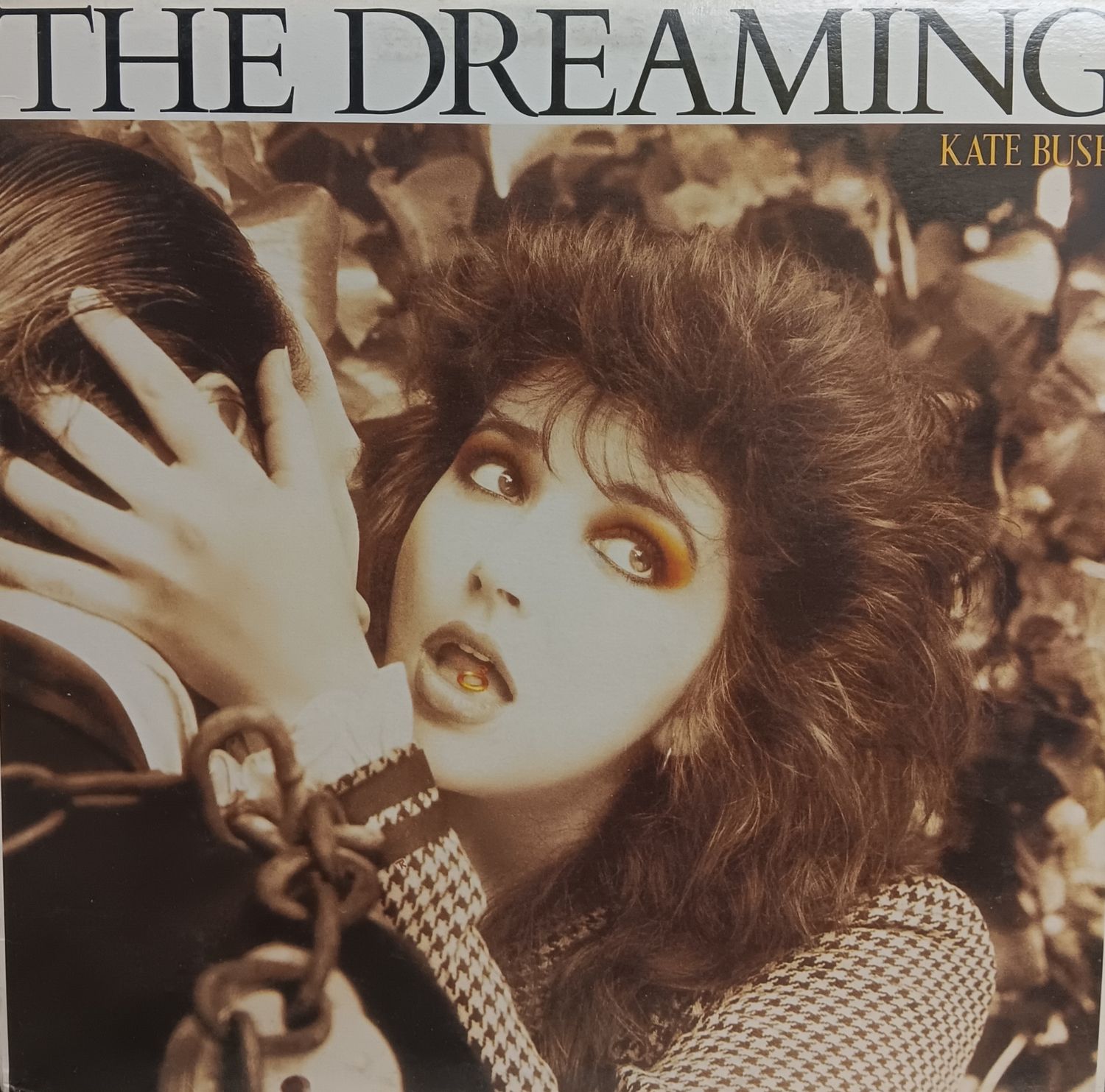 KATE BUSH - The dreaming