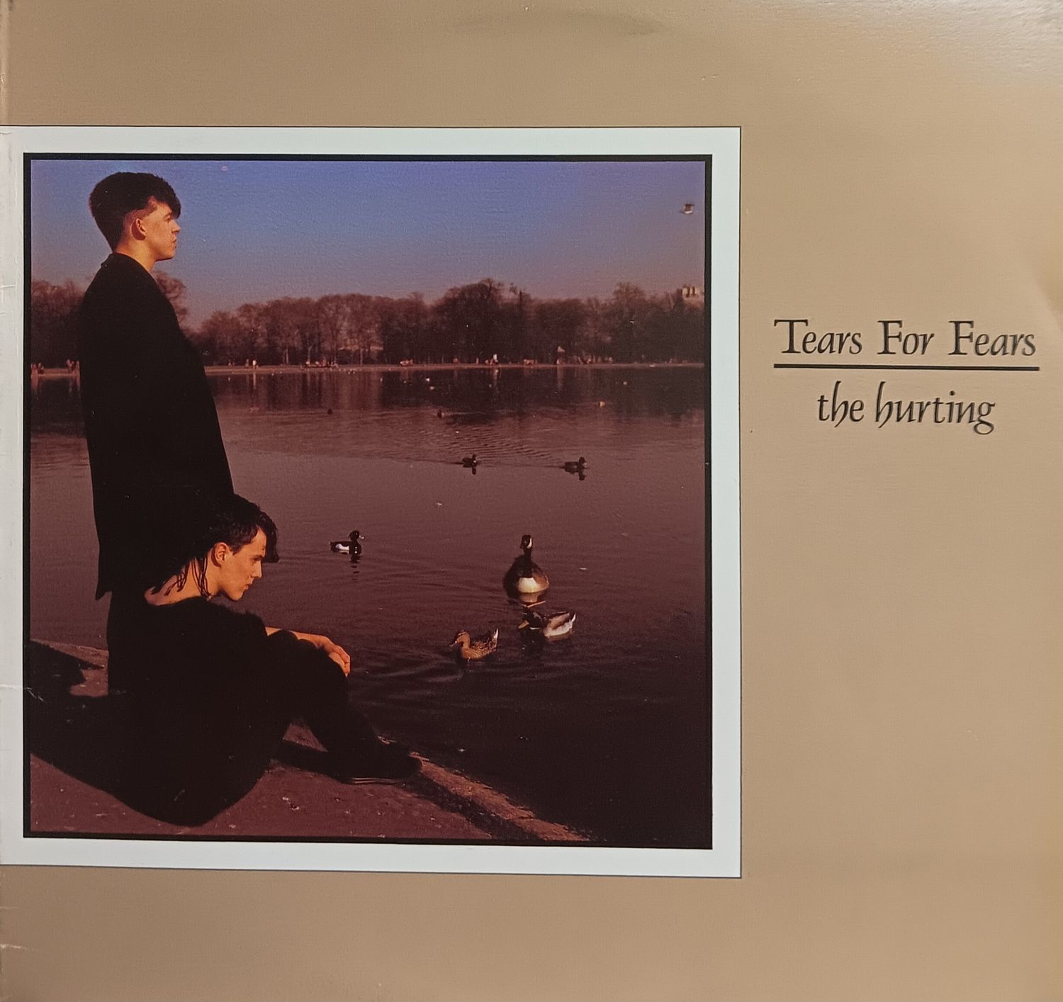 TEARS FOR FEARS - The hurting