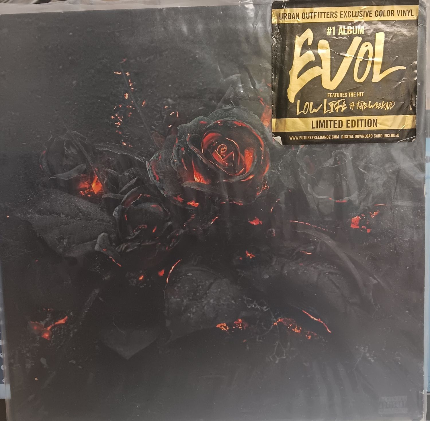 FUTURE - Evol (USA 2016 ORANGE)