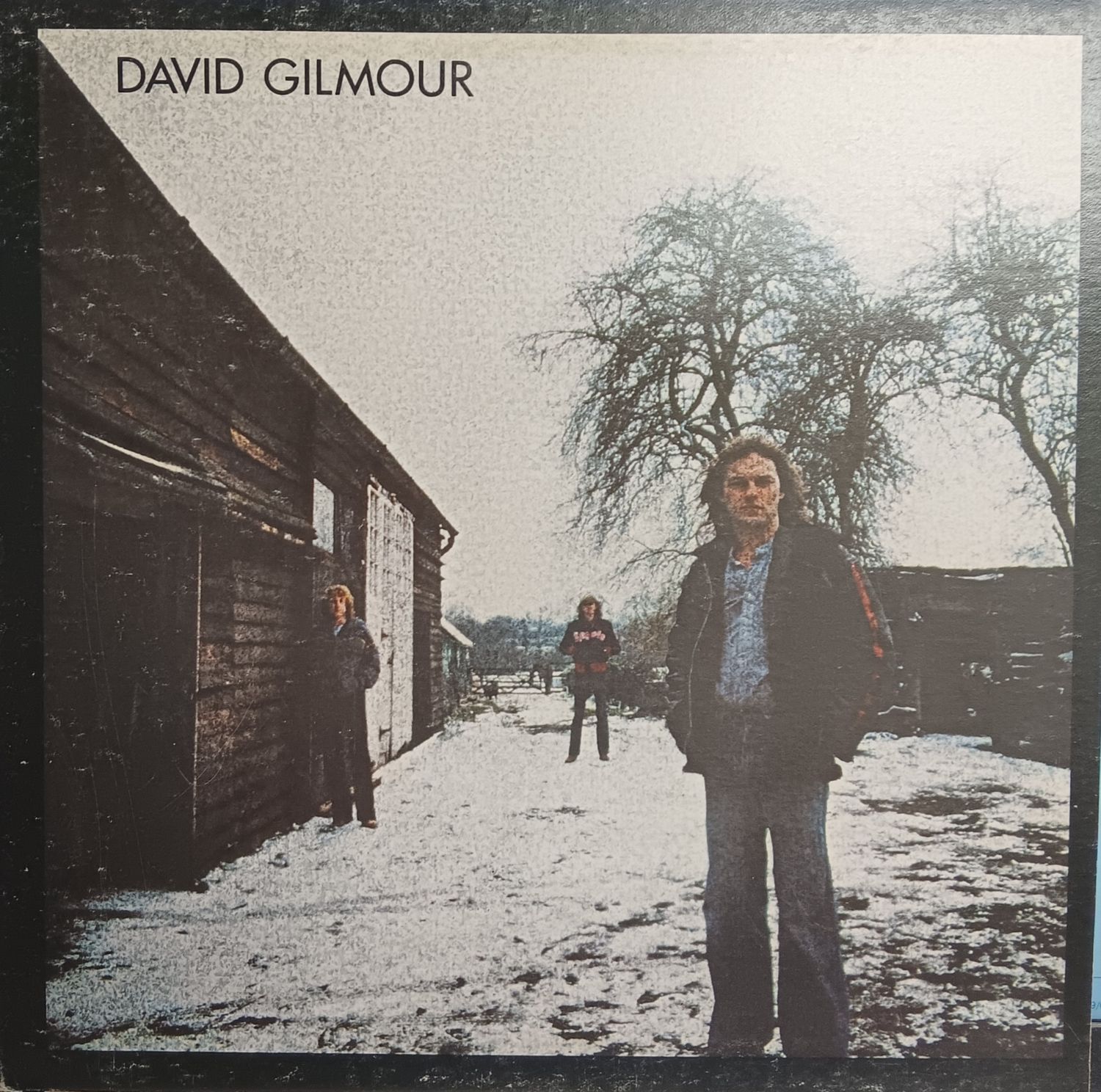 DAVID GILMOUR - David Gilmour