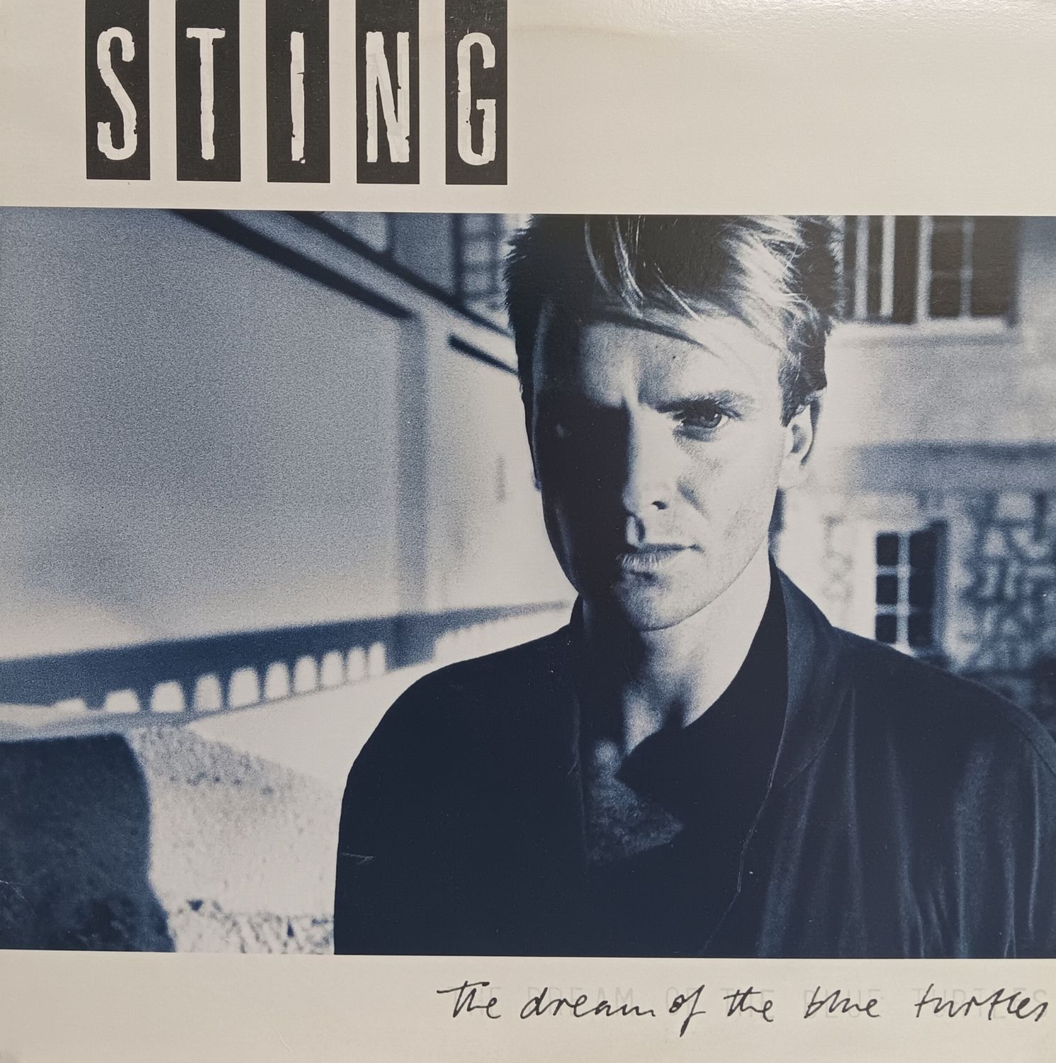 STING - The dreams of the blue turtles