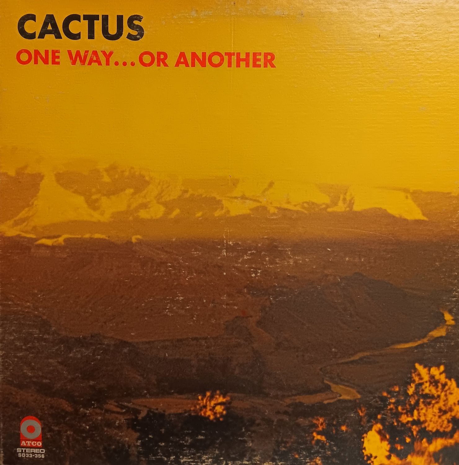 CACTUS - One way or another