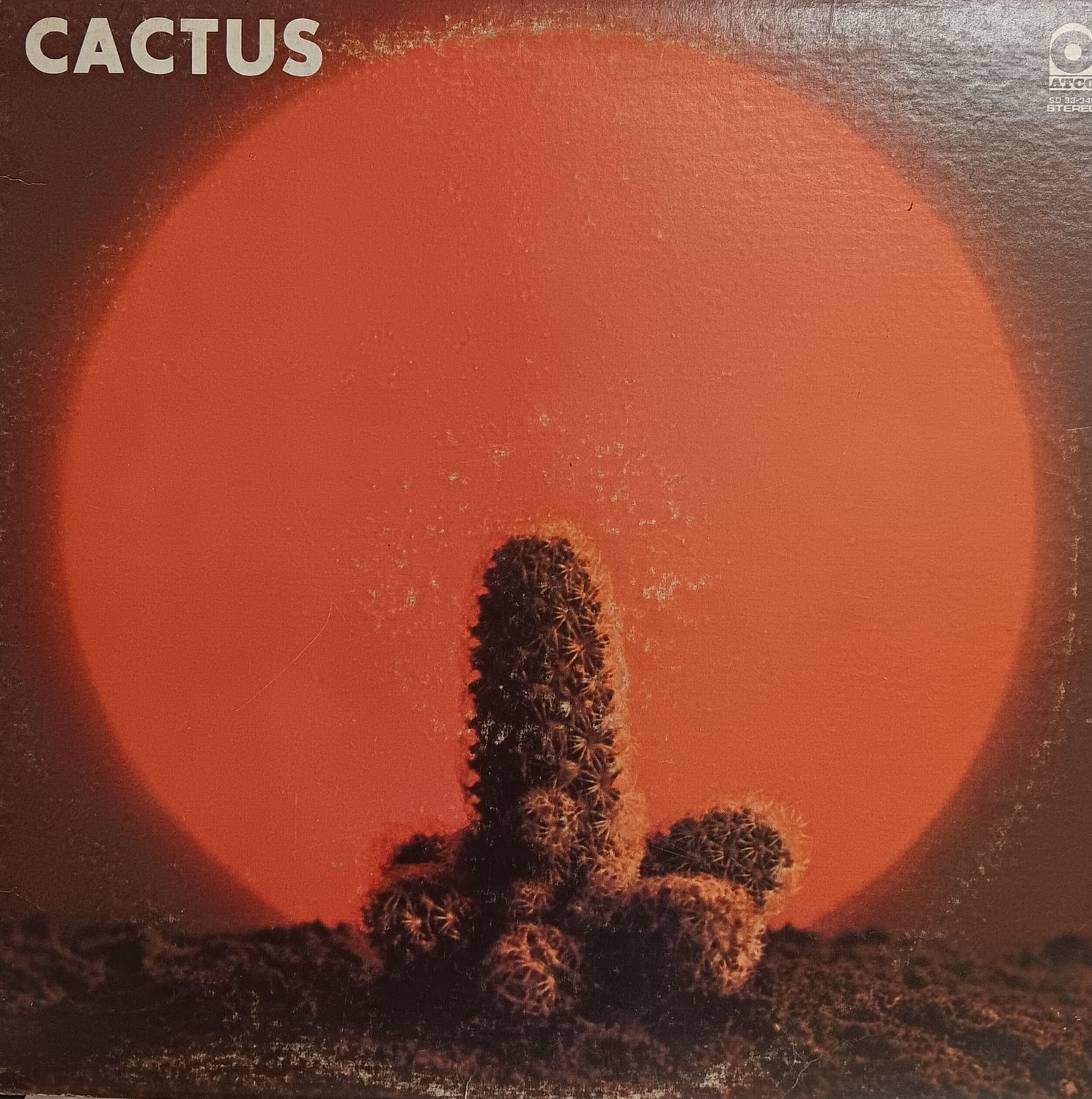 CACTUS - Cactus