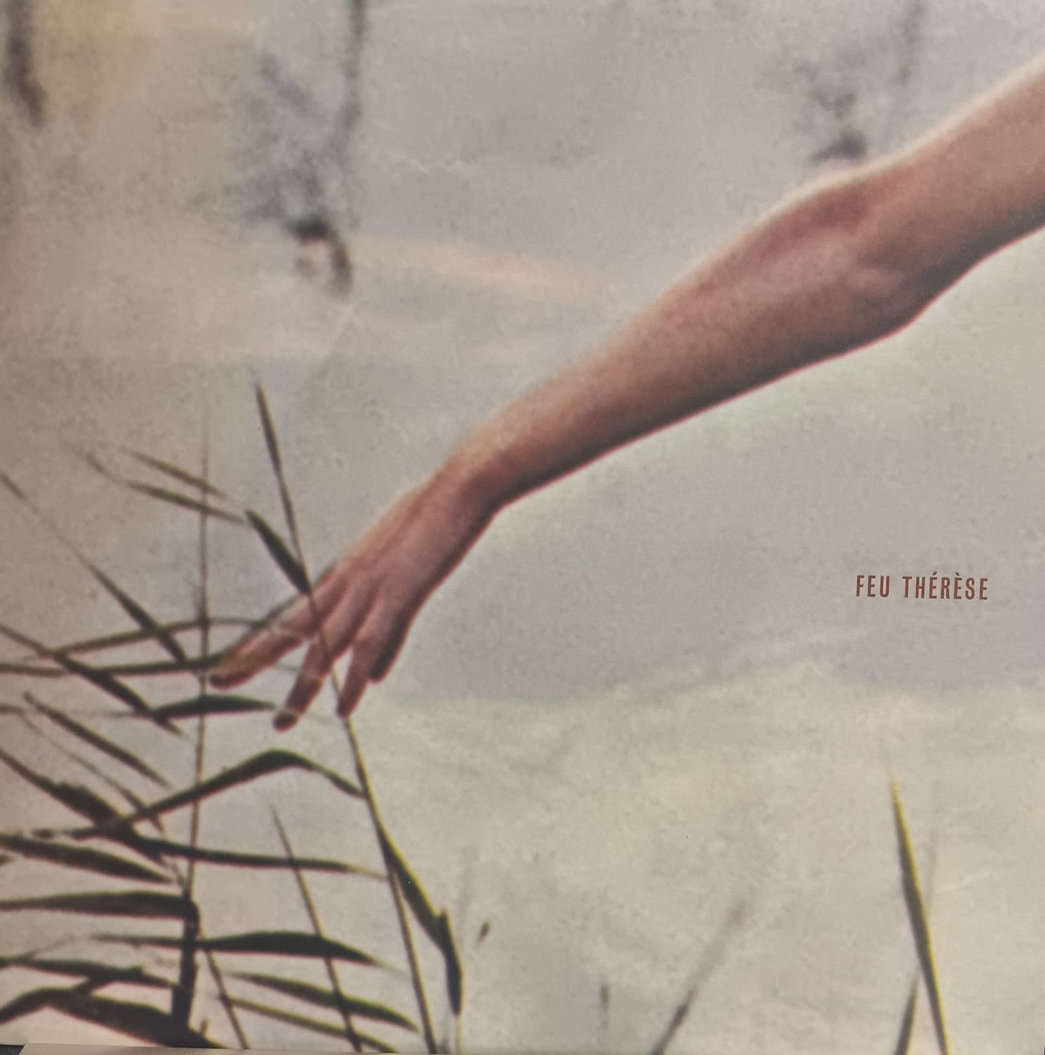 FEU THÉRÈSE - Feu Thérèse