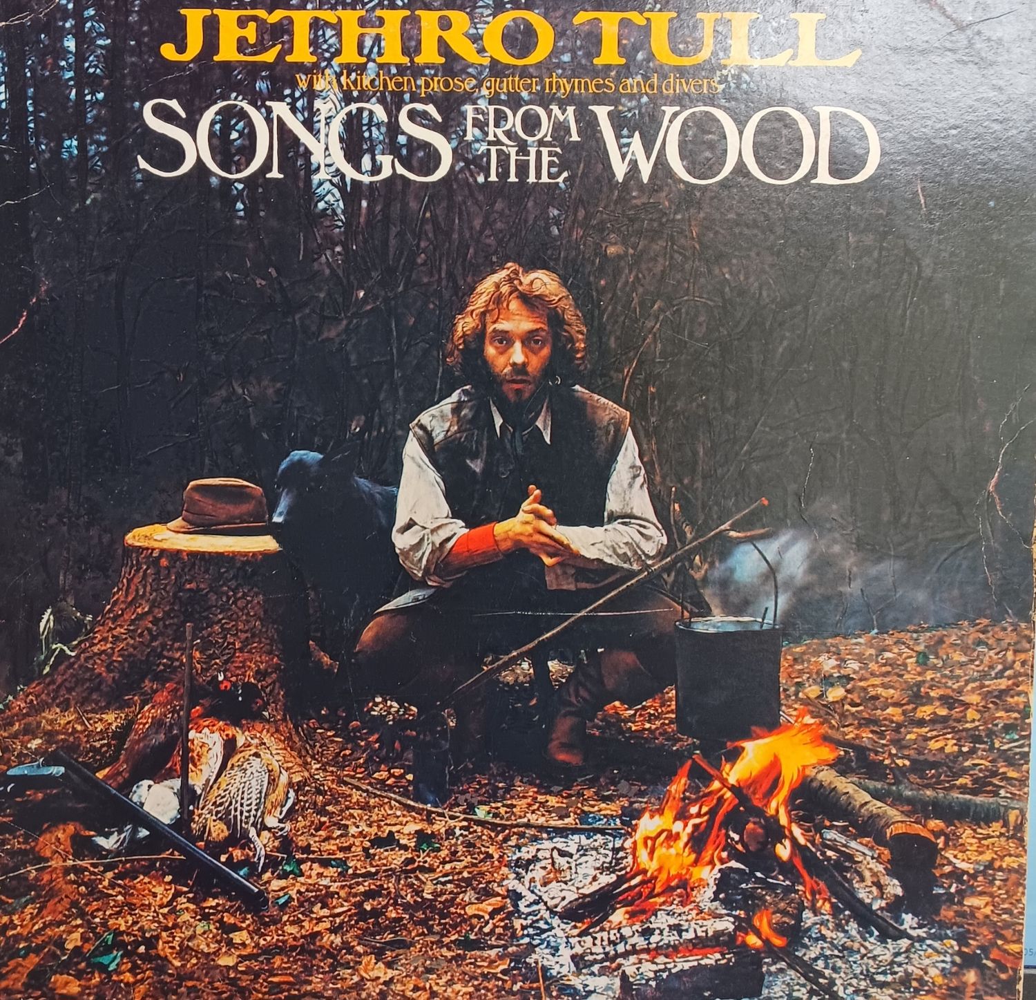 JETHRO TULL - Songs from the wood