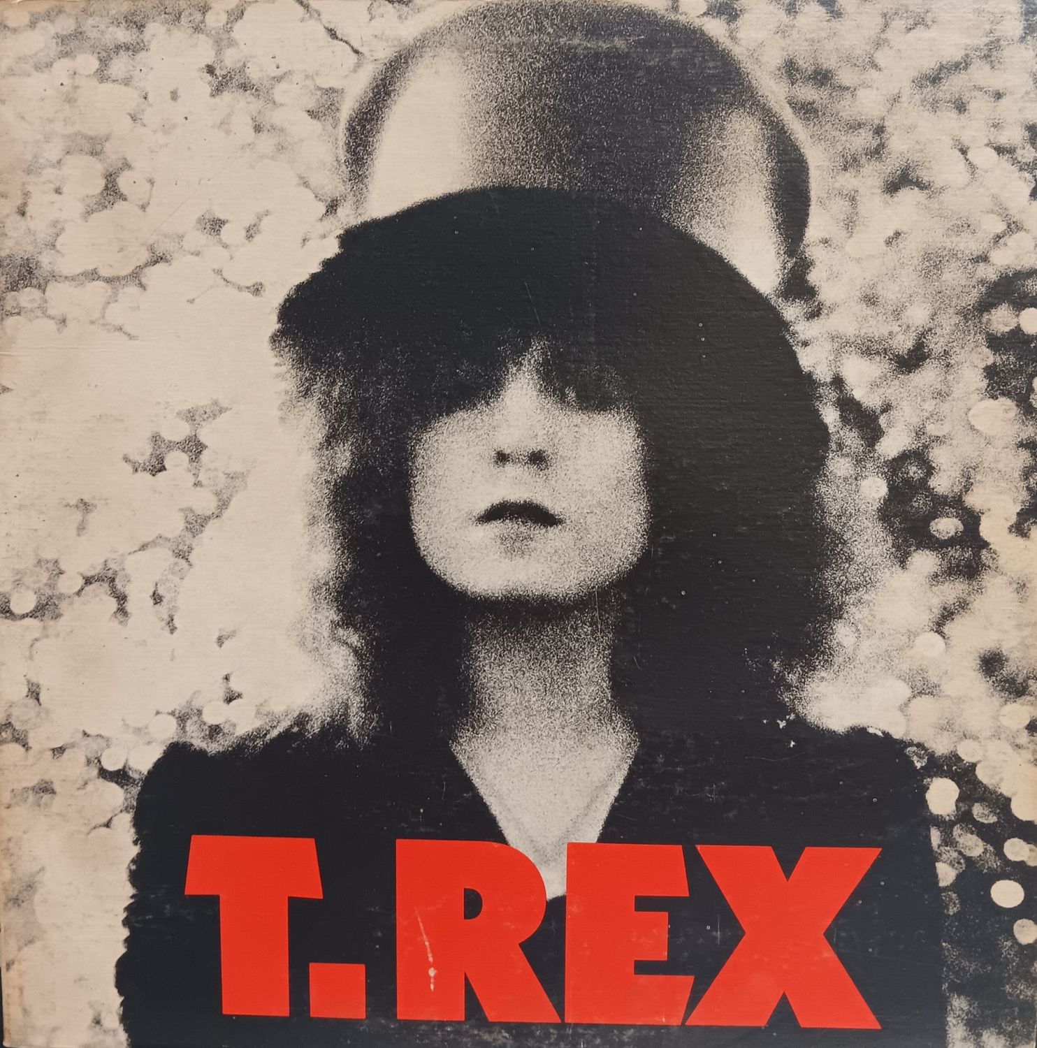 T.REX - The slider