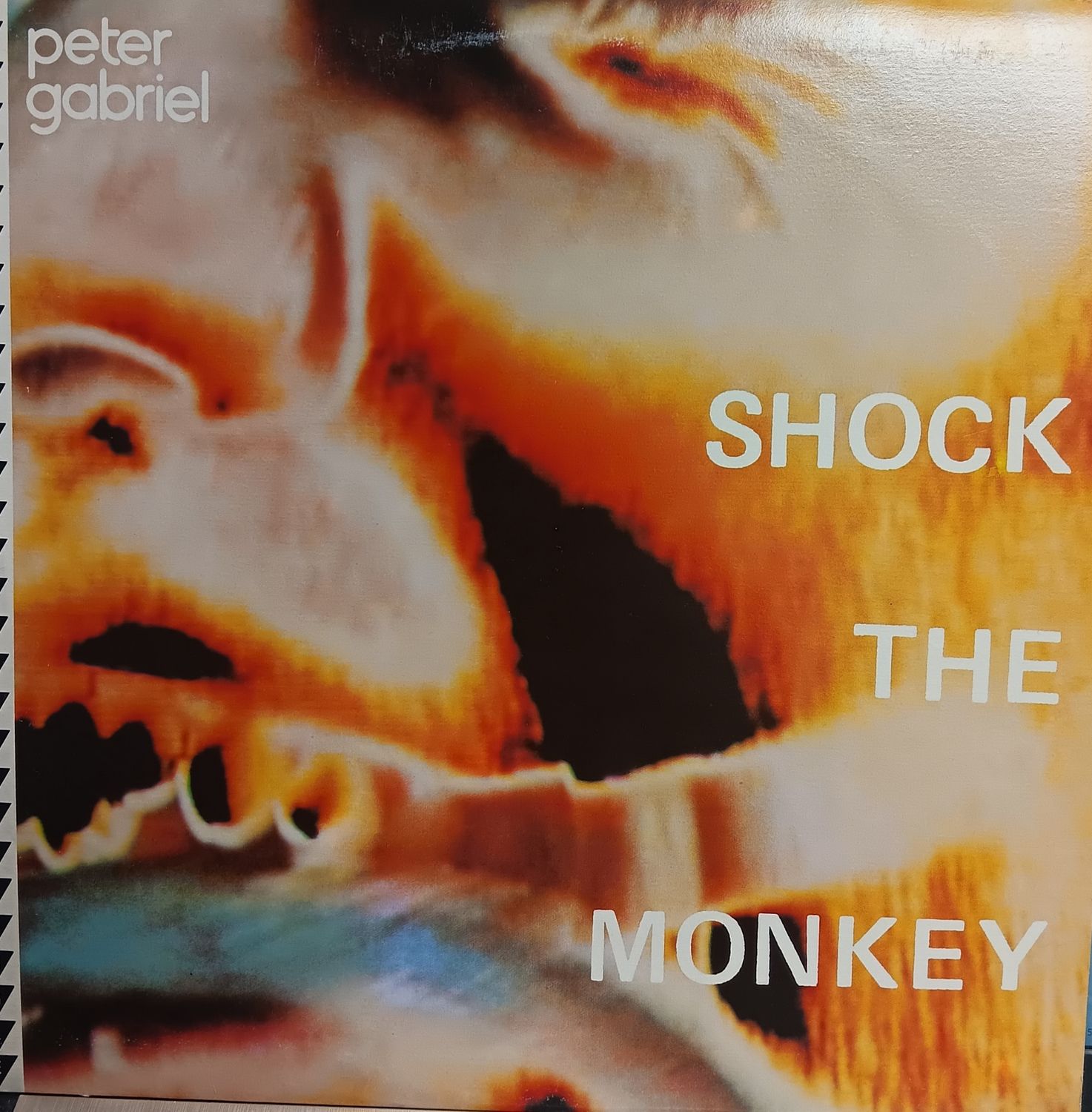 PETER GABRIEL - Shock the monkey (MAXI)