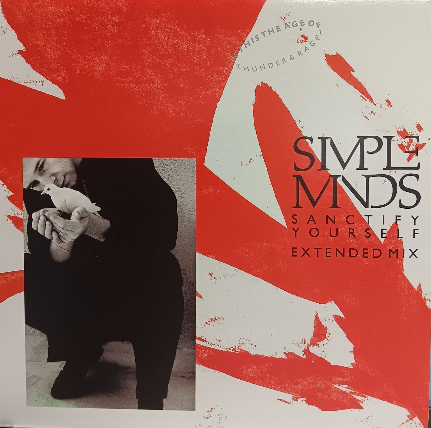 SIMPLE MINDS - Sanctify yourself (MAXI)
