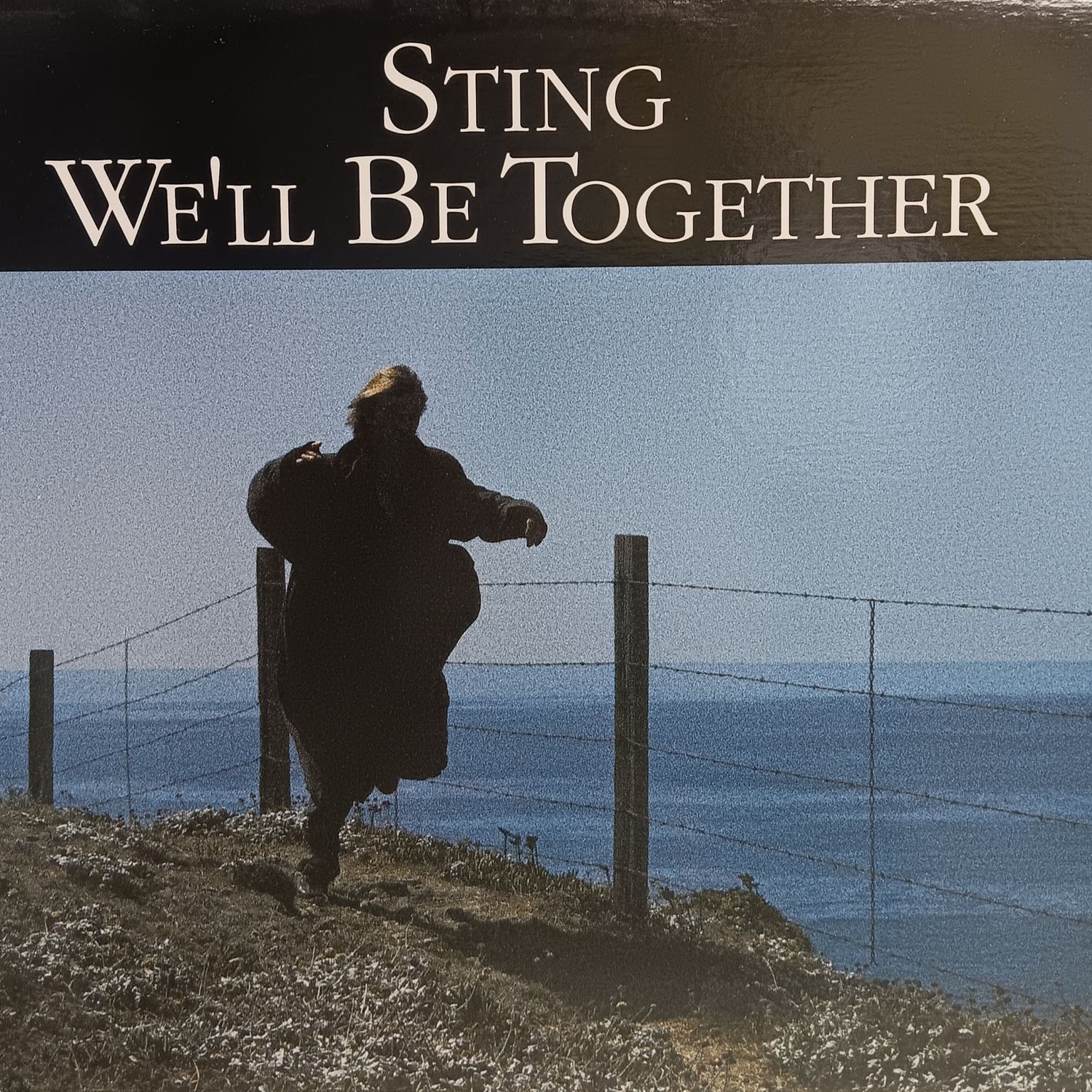STING - We&#39;ll be together (MAXI)
