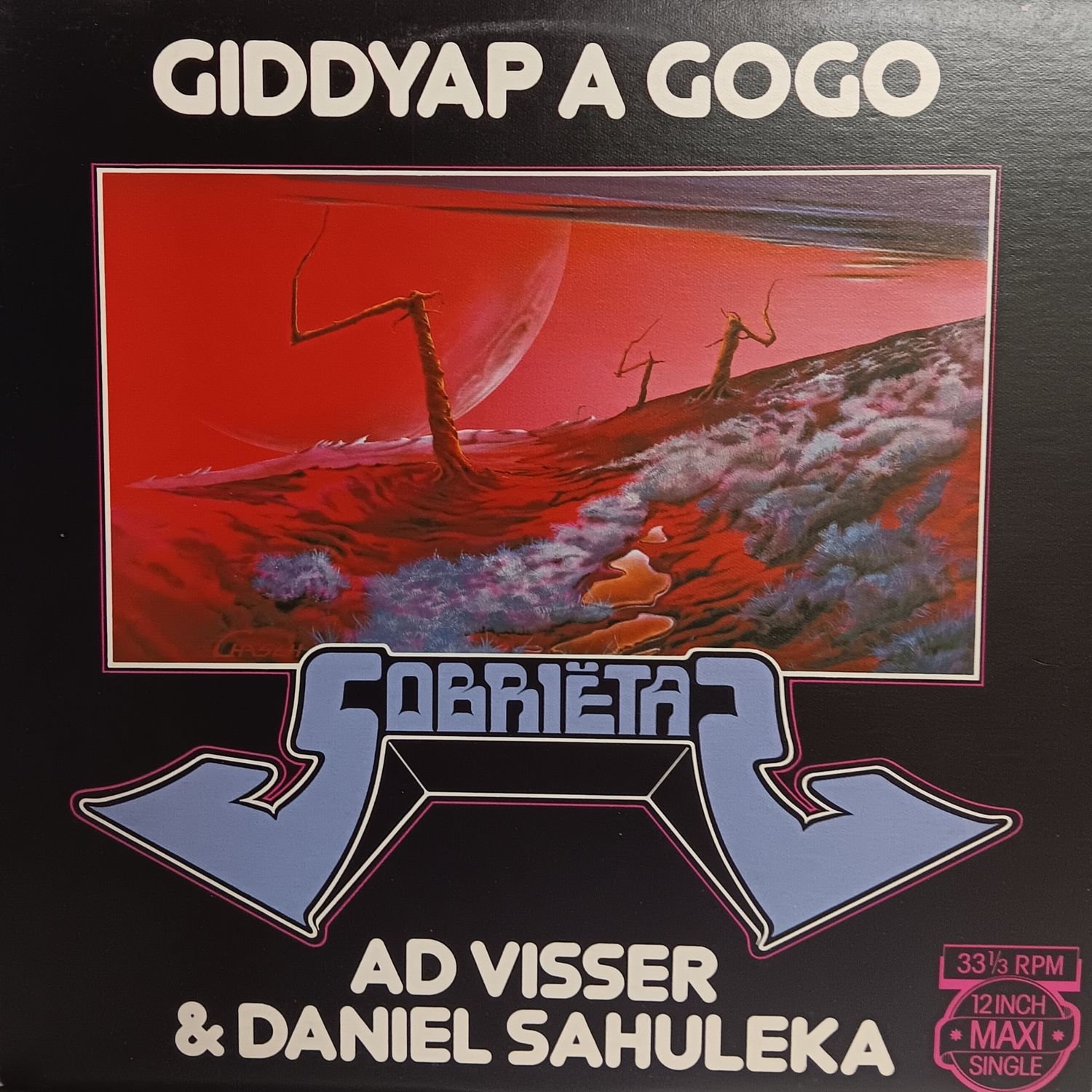 AD VISSER &amp; DANIEL SAHULEKA - Giddyap a gogo (MAXI)