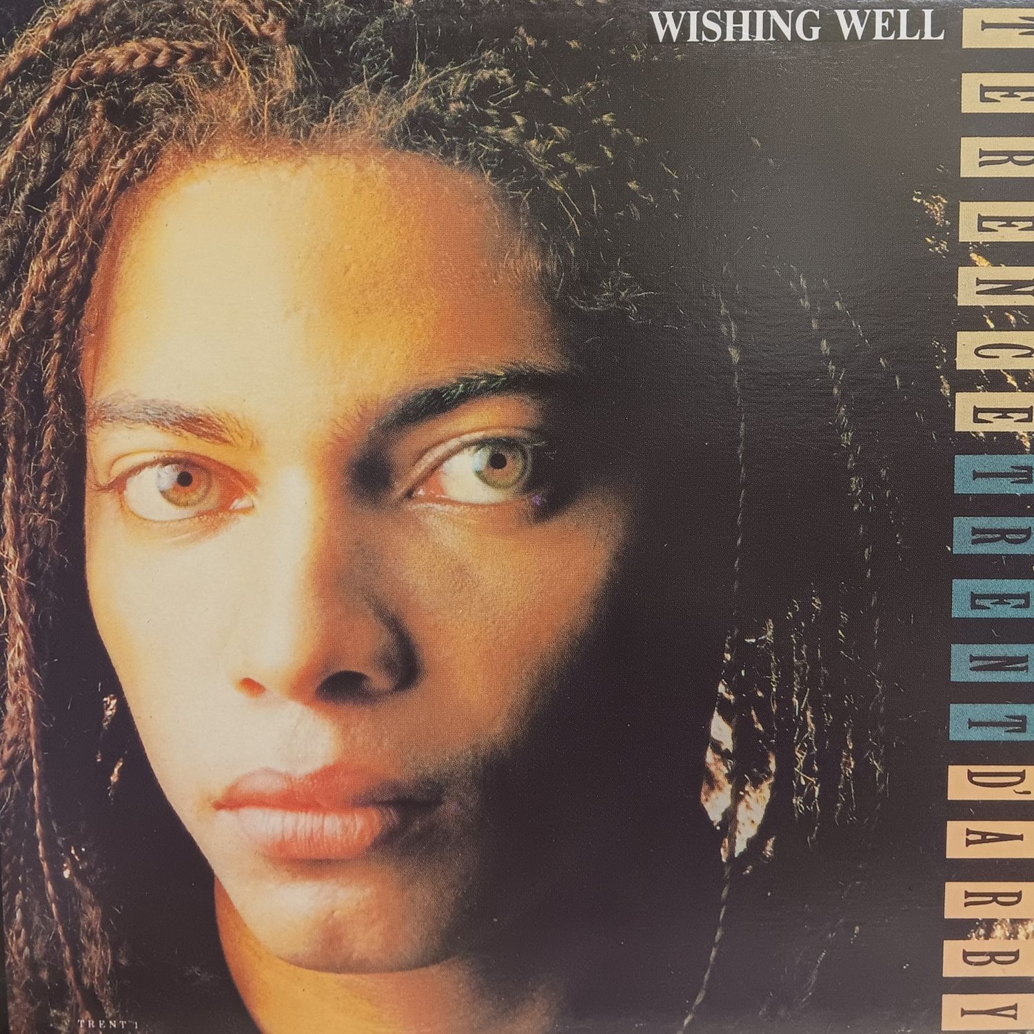 TERENCE TRENT D&#39;ARBY - Wishing Well (MAXI)