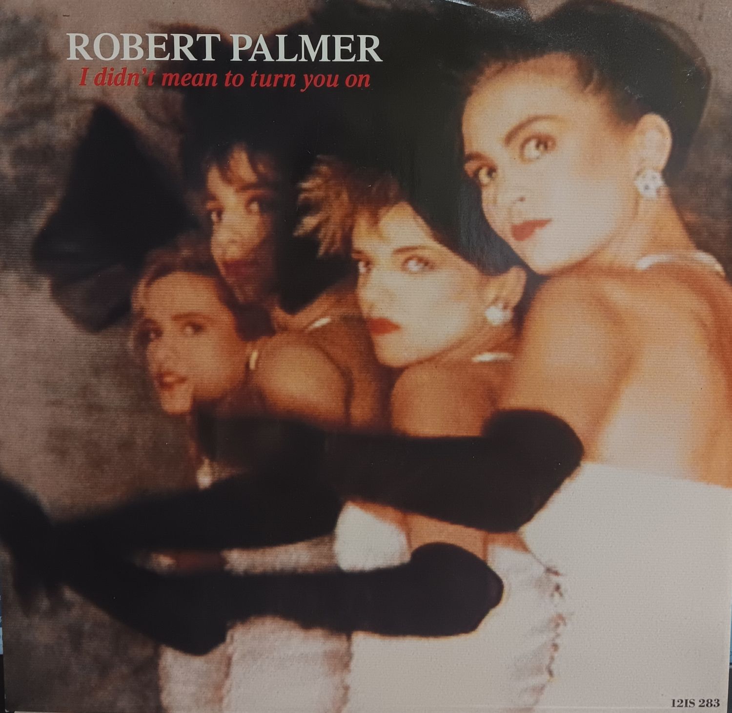 ROBERT PALMER - I didn&#39;t mean to turn you on (MAXI)