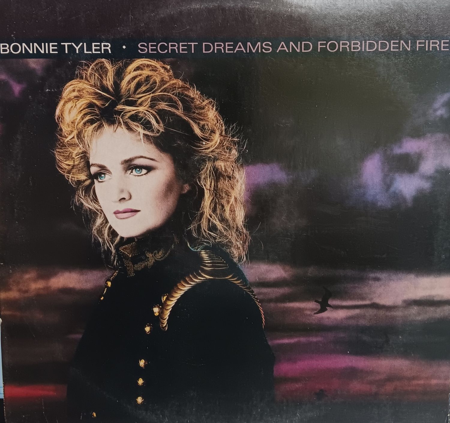 BONNIE TYLER - Secret dreams and forbidden fire