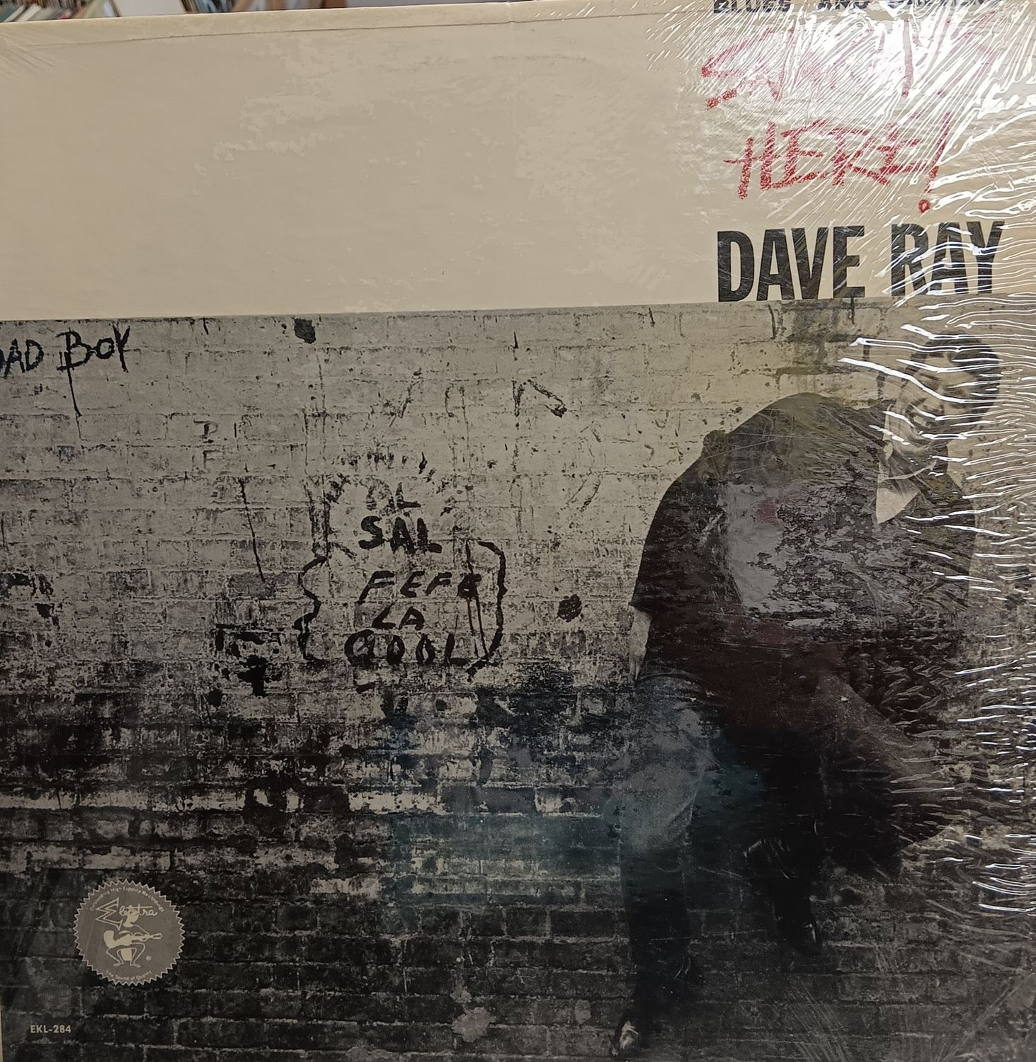 DAVE RAY - Snaker&#39;s here