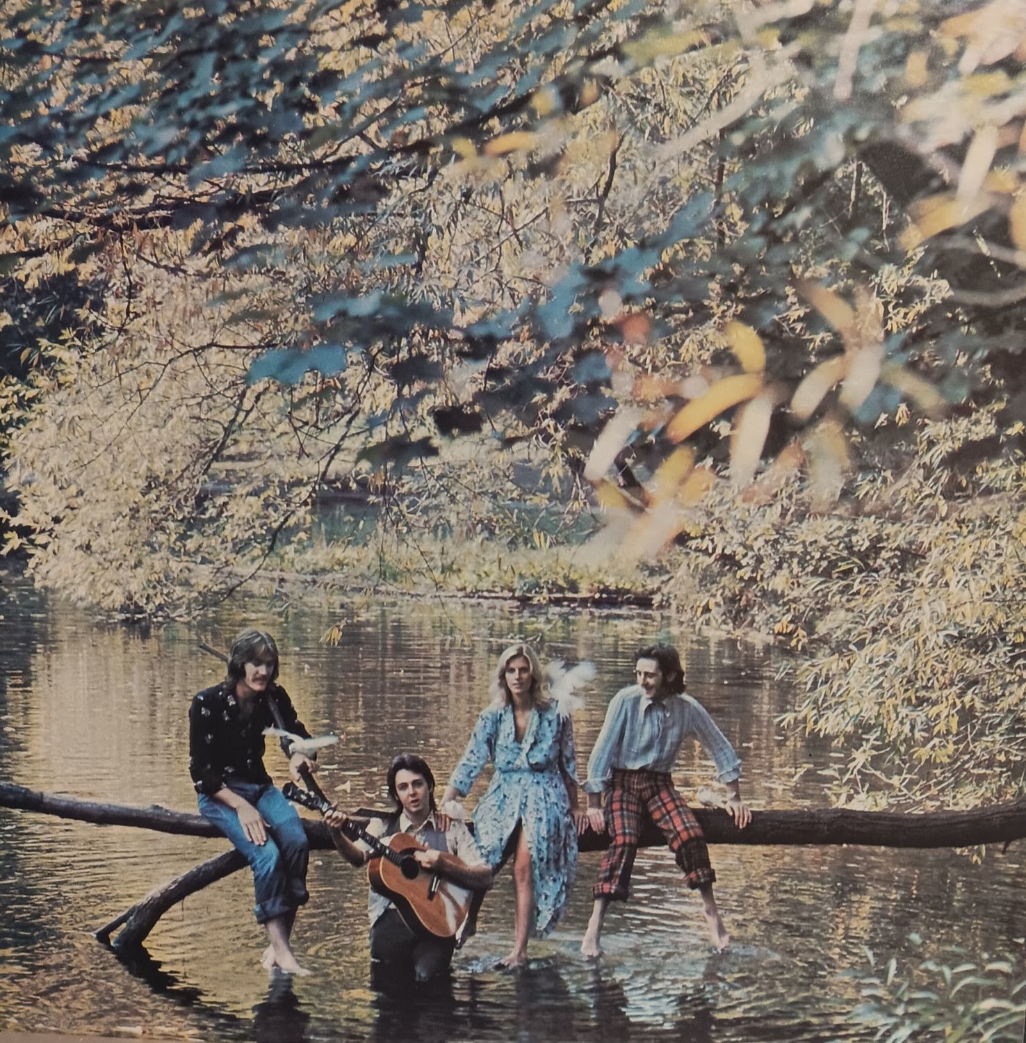 WINGS - Wild Life