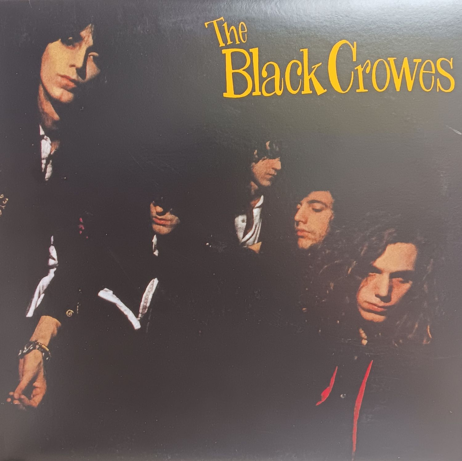 THE BLACK CROWES - Shake your money maker