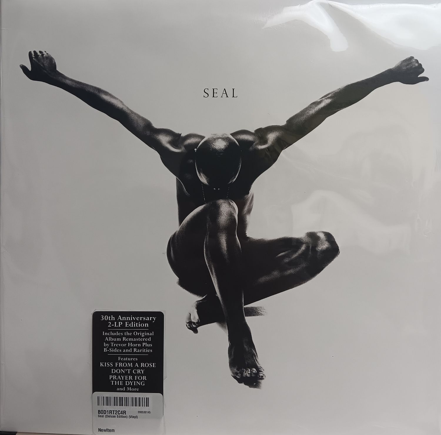 SEAL - Seal