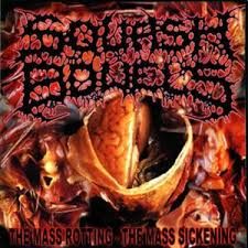 SQUASH BOWELS - THE MASS ROTTING (CD)