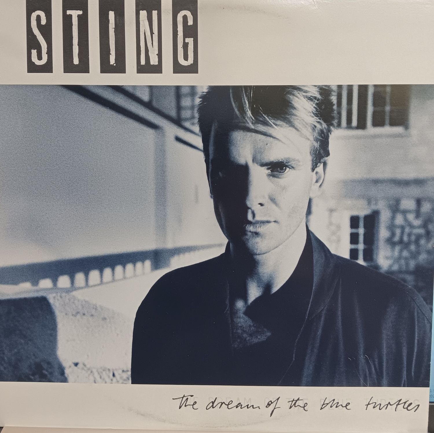 STING - The dream of the blue turtles