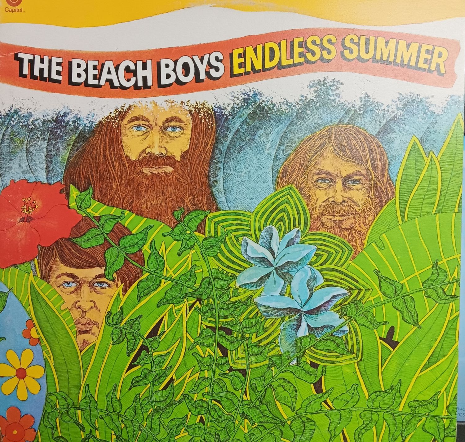 BEACH BOYS - Endless Summer