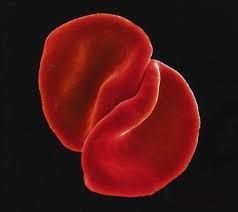 PETER GABRIEL - SCRATCH MY BACK (CD)