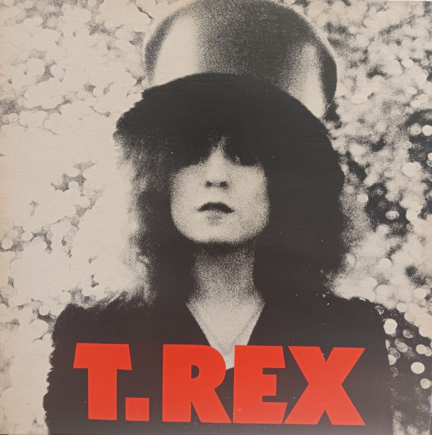 T REX - The Slider