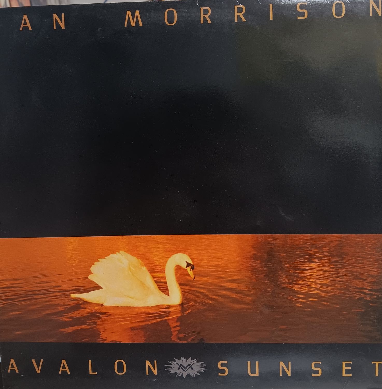 VAN MORRISON - Avalon Sunset