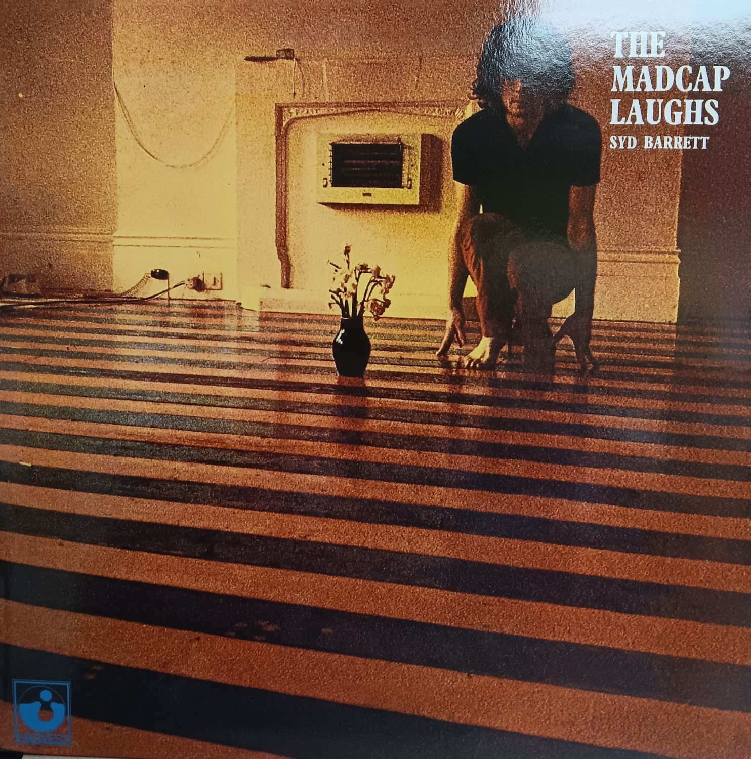 SYD BARRETT - The madcap laughs (2014)