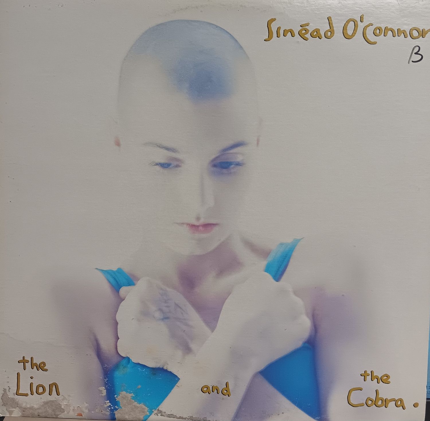 SINEAD O'CONNOR - The lion and the cobra