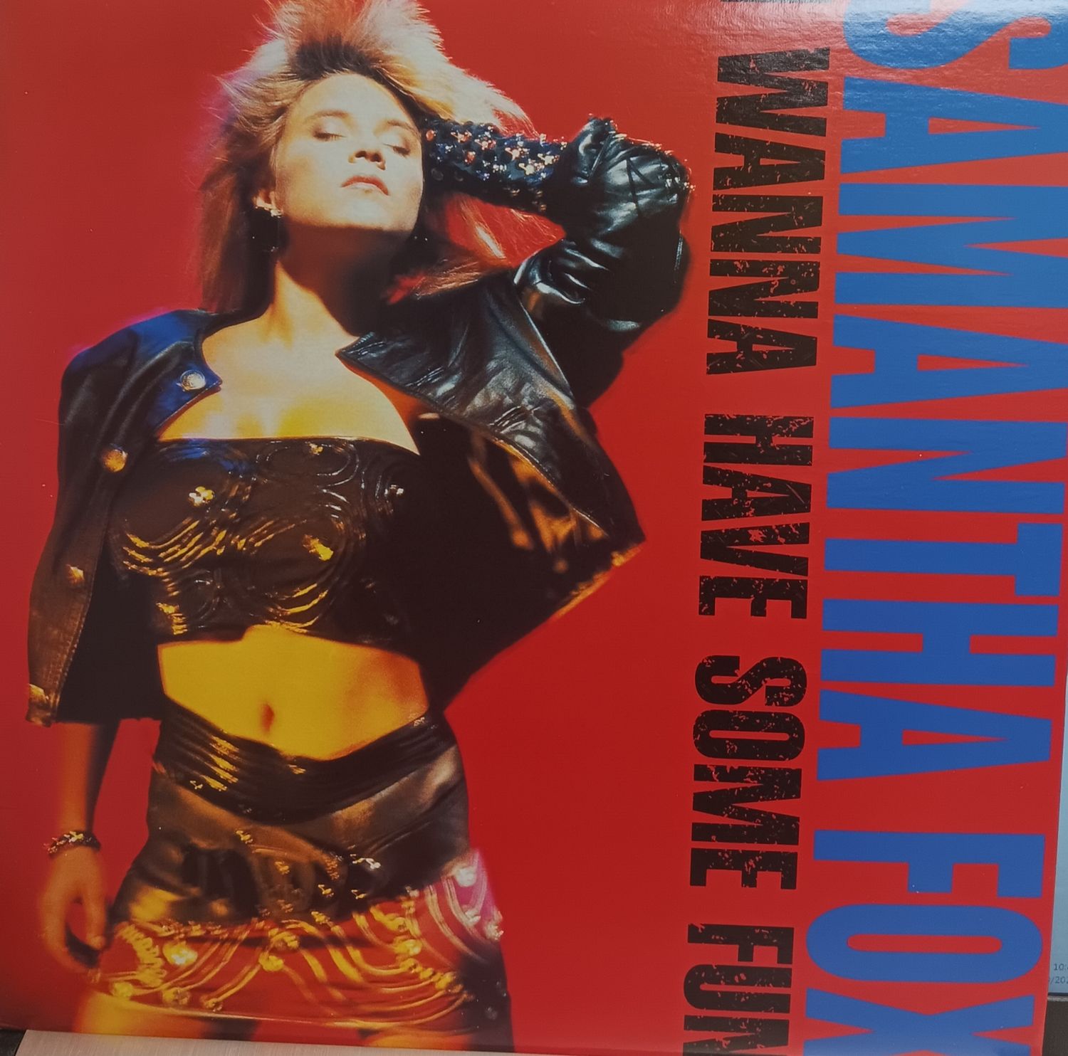 SAMANTHA FOX - I WANNA HAVE SOME FUN