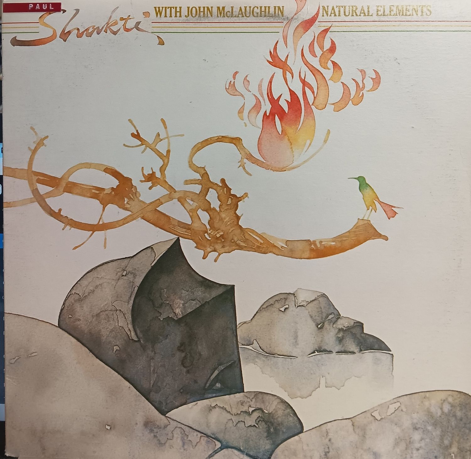 SHAKTI WITH JOHN MCLAUGHLIN - Natural Elements